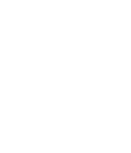 REÇU NUMÉRIQUE